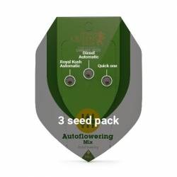 Royal Queens Seeds - Autoflowering Mix Pack